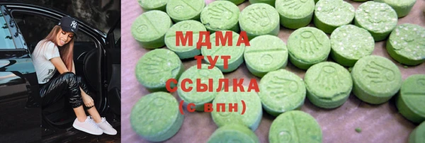 хмурый Аркадак