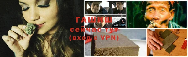 хмурый Аркадак