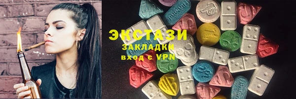 хмурый Аркадак