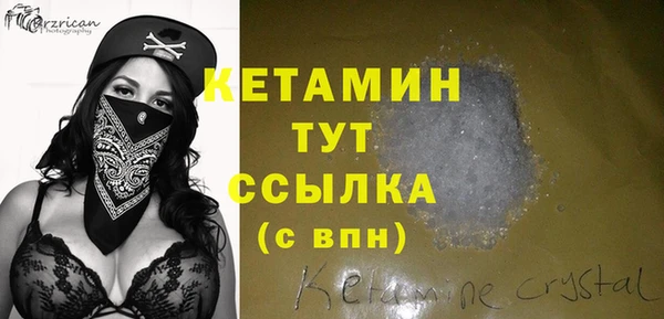хмурый Аркадак