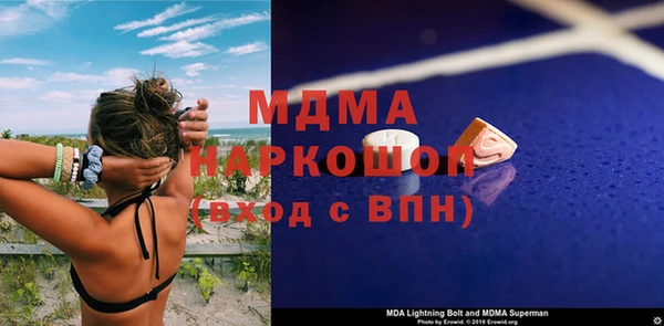 хмурый Аркадак